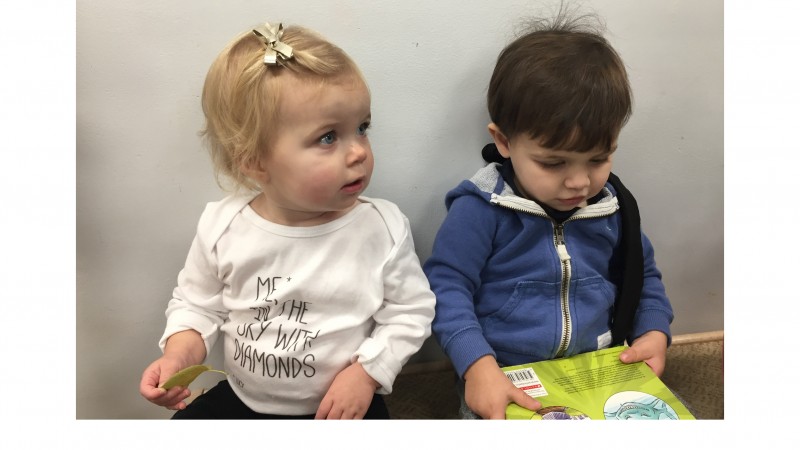Two young children looking at a book